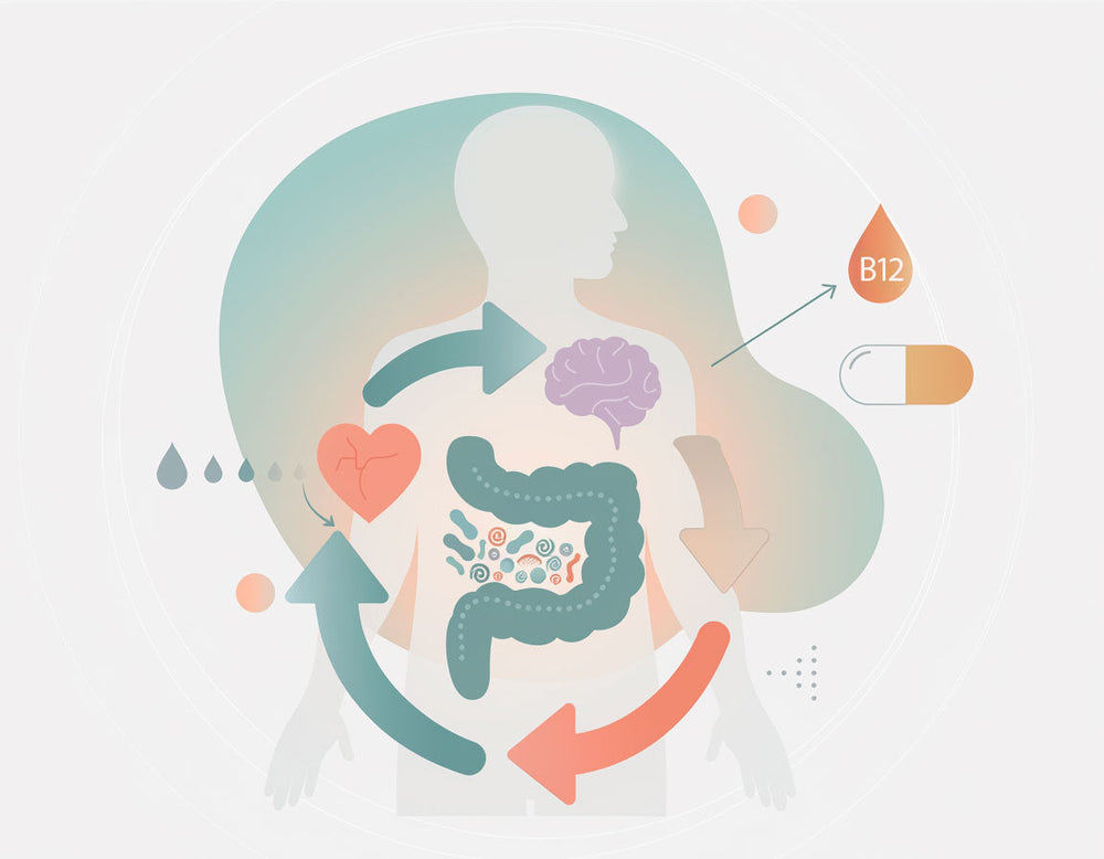 L'asse intestino-cuore-cervello: una connessione vitale per la salute metabolica. 🧭🔬