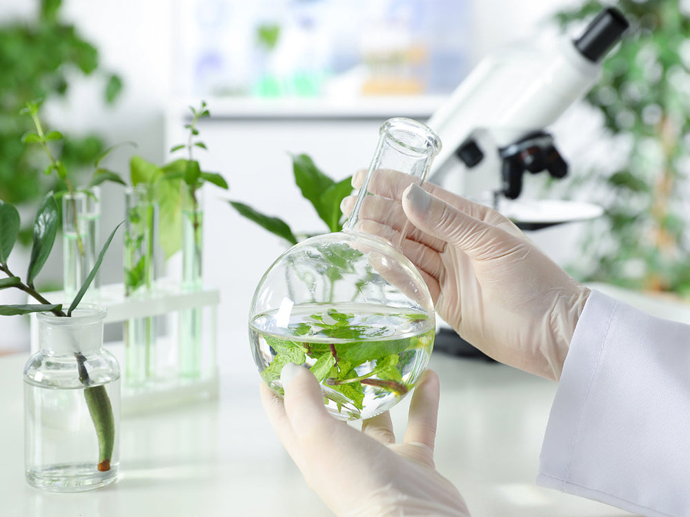 DNA Barcoding: dalla certezza di specie all’efficacia attesa