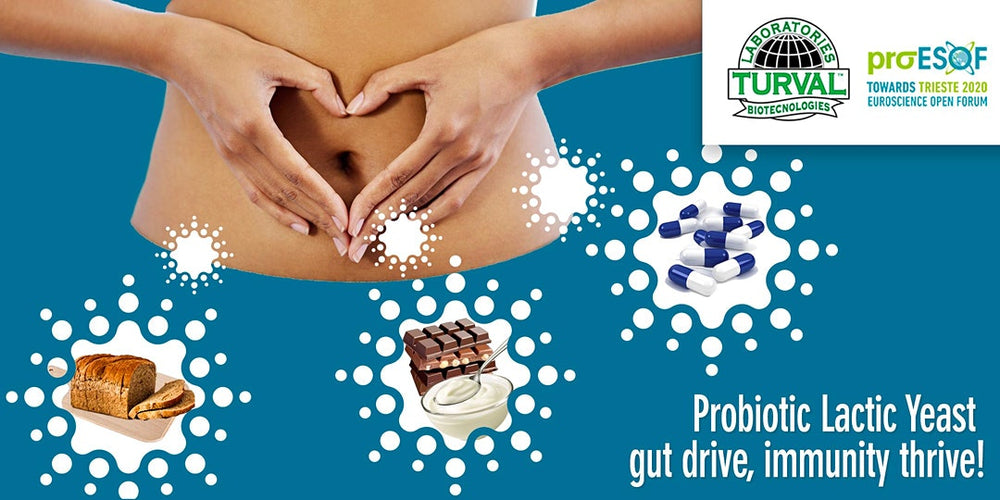 Kluyveromyces marxianus fragilis: New Generation, Probiotic Lactic Yeast, Health Benefits and Industrial Prospective