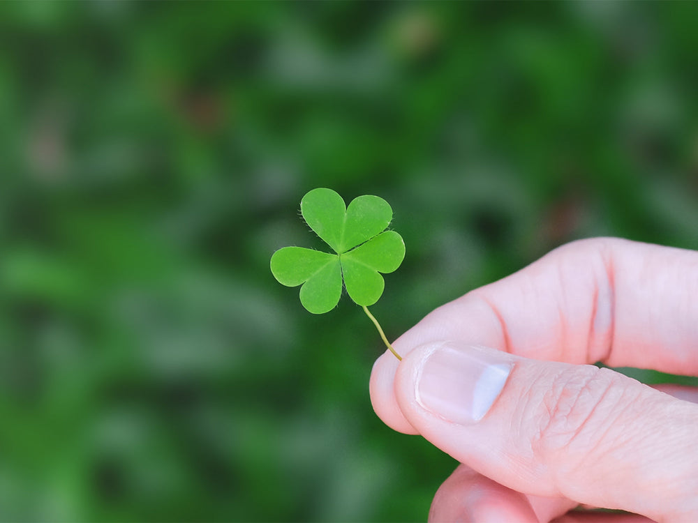 Quatrefolic® l’acido folico di 4a generazione