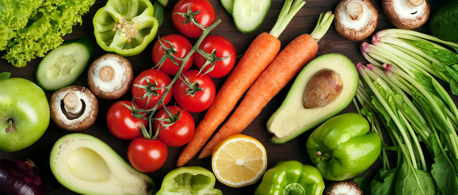 Apparato gastro intestinale